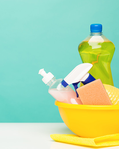 Home cleaning service website project